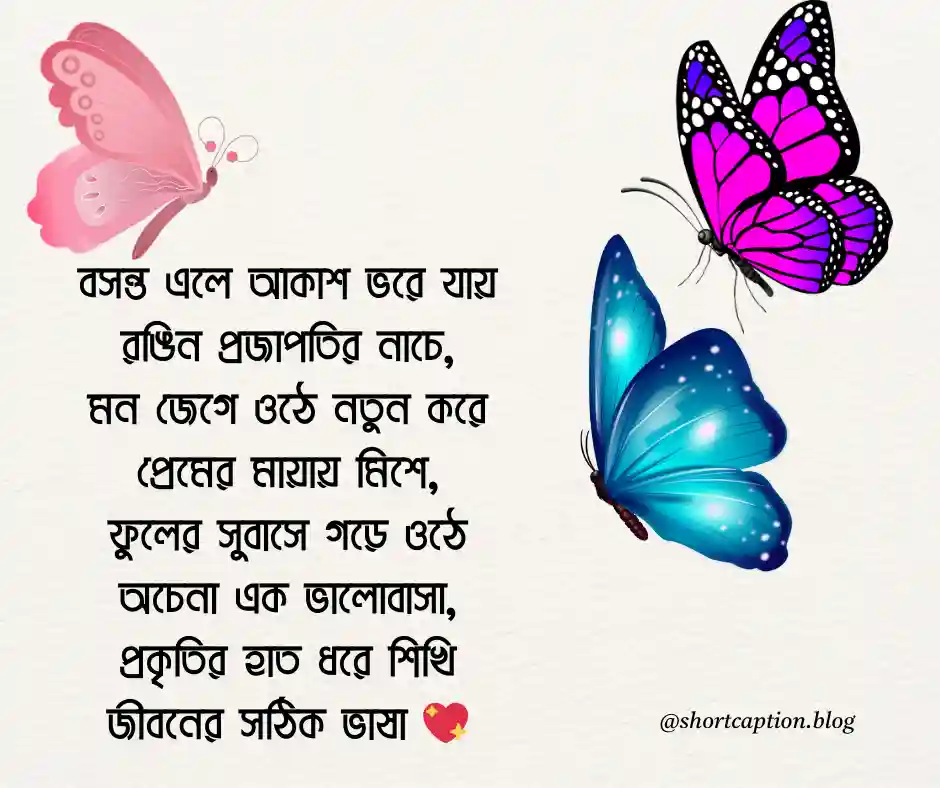 ঋতুরাজ বসন্ত নিয়ে কবিতা