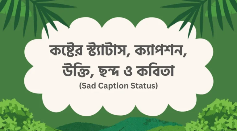 কষ্টের স্ট্যাটাস, ক্যাপশন, উক্তি, ছন্দ ও কবিতা Koster Status Caption