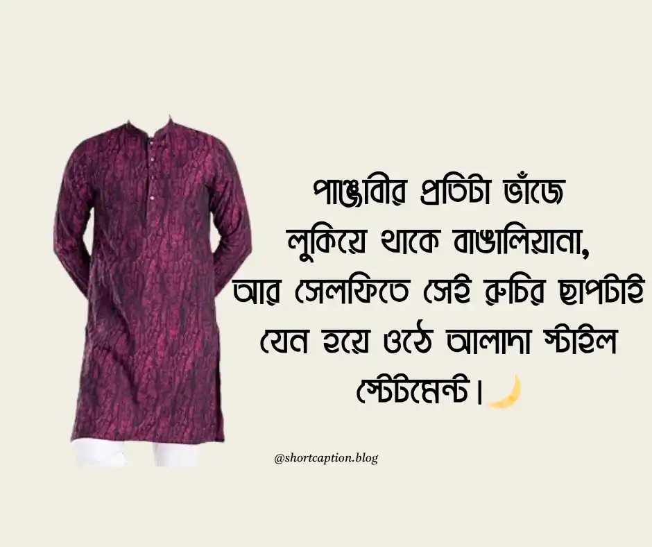 পাঞ্জাবী নিয়ে উক্তি