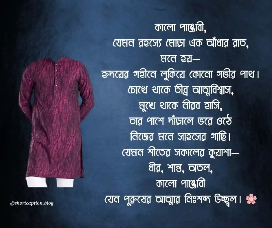 পাঞ্জাবী নিয়ে কবিতা