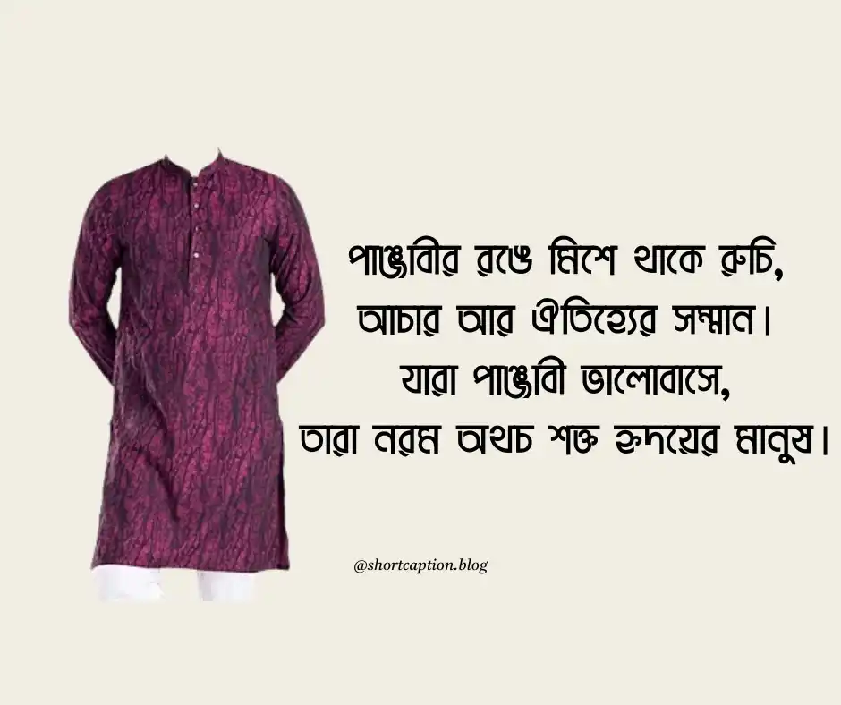 পাঞ্জাবী নিয়ে ক্যাপশন - panjabi niye caption