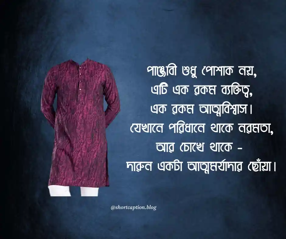 পাঞ্জাবী নিয়ে ক্যাপশন