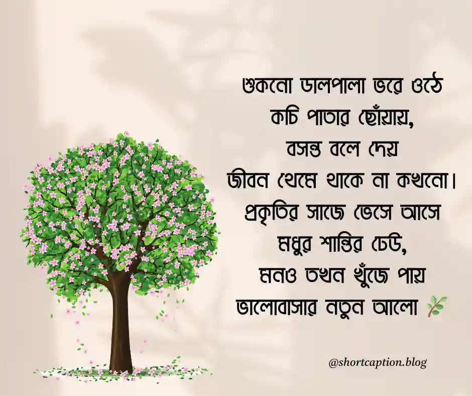 বসন্তের কবিতা বসন্ত নিয়ে কবিতা