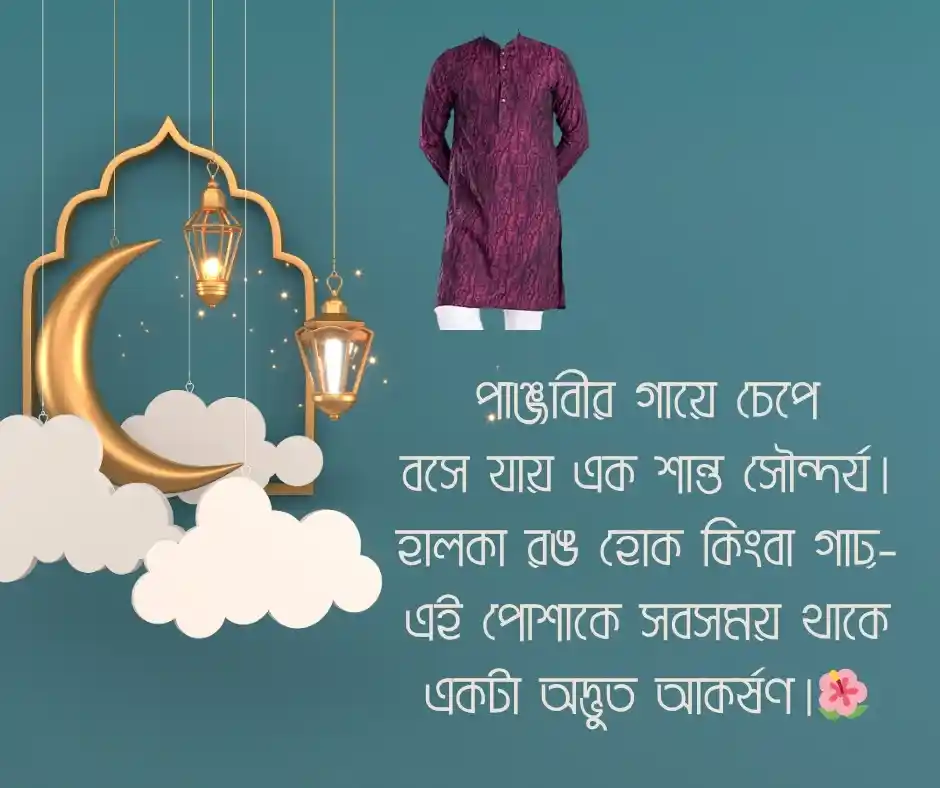 সেরা পাঞ্জাবী নিয়ে ক্যাপশন