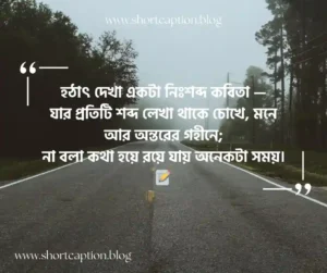 হঠাৎ দেখা নিয়ে স্ট্যাটাস, উক্তি ও প্রেমের কবিতা
