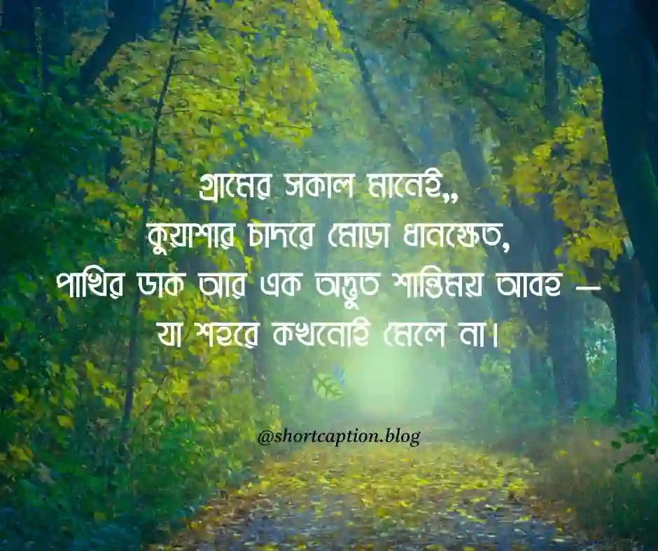 গ্রামের প্রকৃতি নিয়ে ক্যাপশন
