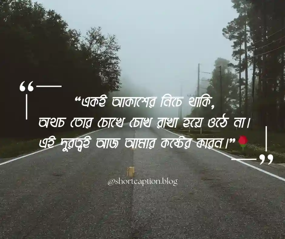 দূর থেকে ভালোবাসার স্ট্যাটাস Love Status Bangla