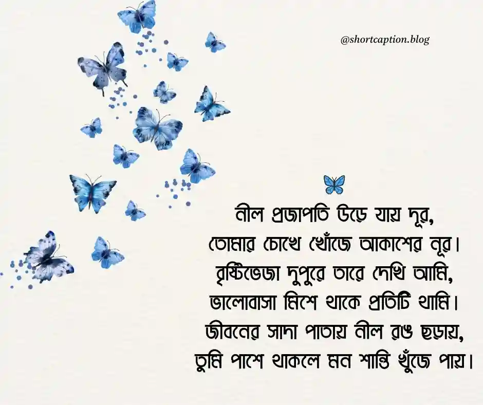 নীল প্রজাপতি নিয়ে কবিতা