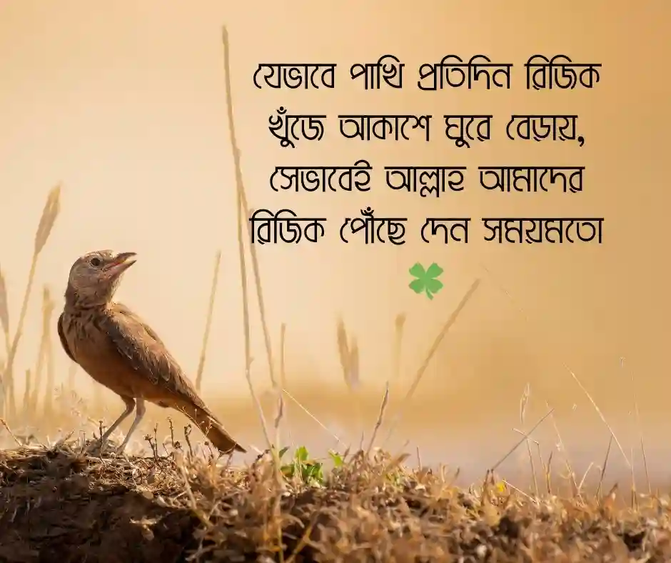 পাখি নিয়ে ইসলামিক ক্যাপশন
