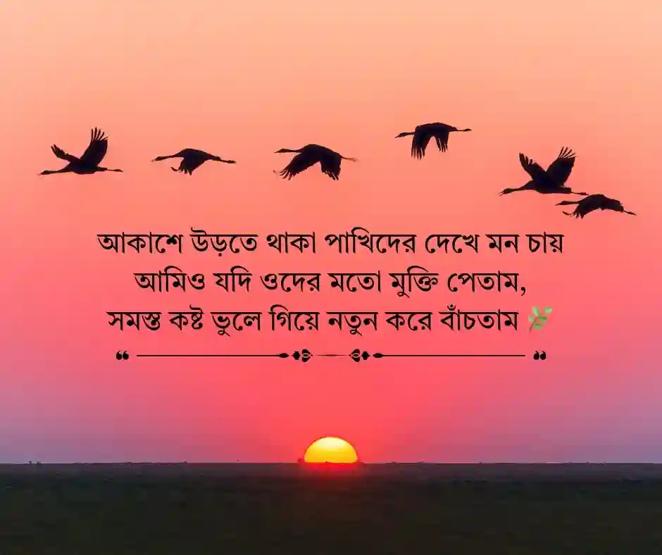 পাখি নিয়ে ক্যাপশন - পাখি নিয়ে স্ট্যাটাস