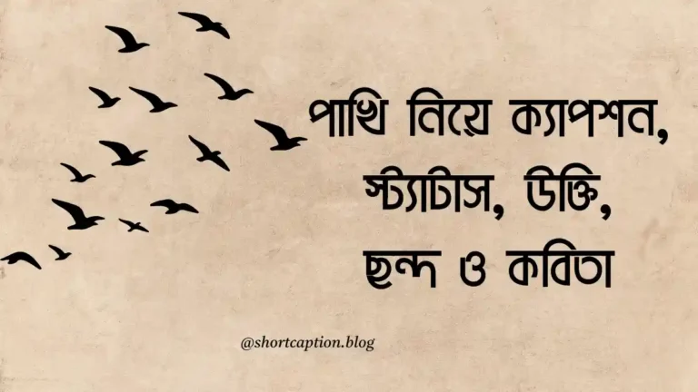 পাখি নিয়ে ক্যাপশন, স্ট্যাটাস, উক্তি, ছন্দ ও কবিতা