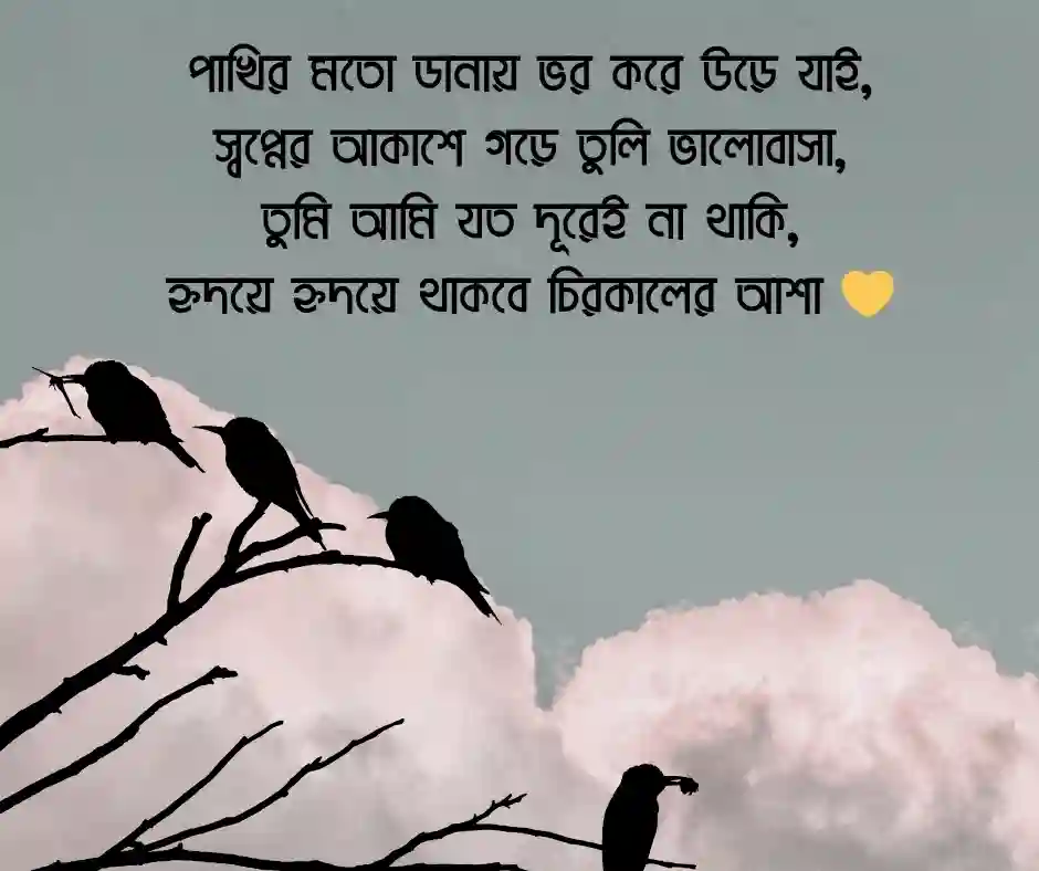 পাখি নিয়ে প্রেমের কবিতা