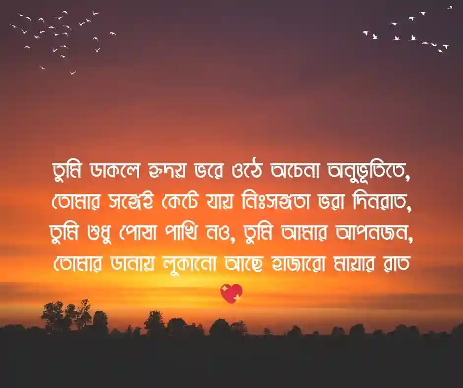 পোষা পাখি নিয়ে কবিতা
