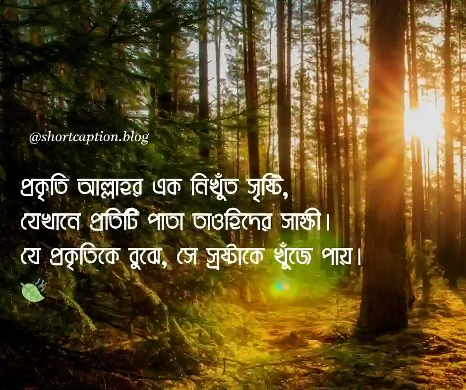 প্রকৃতি নিয়ে ইসলামিক ক্যাপশন