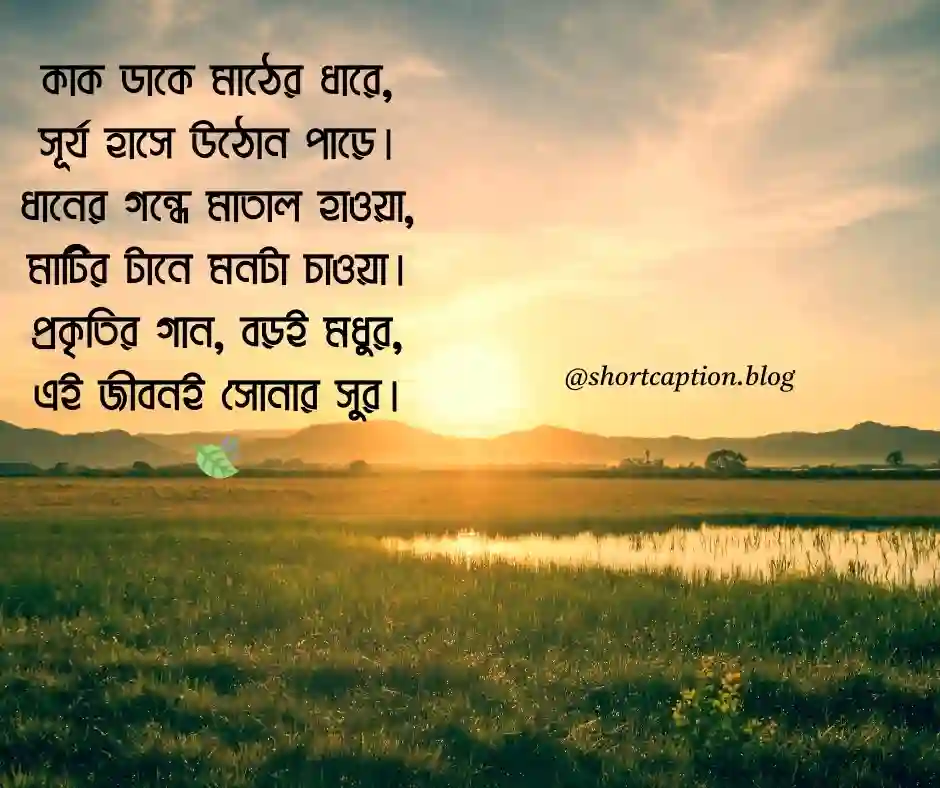 প্রকৃতি নিয়ে কবিতা ক্যাপশন প্রকৃতি নিয়ে ক্যাপশন বাংলা কবিতা