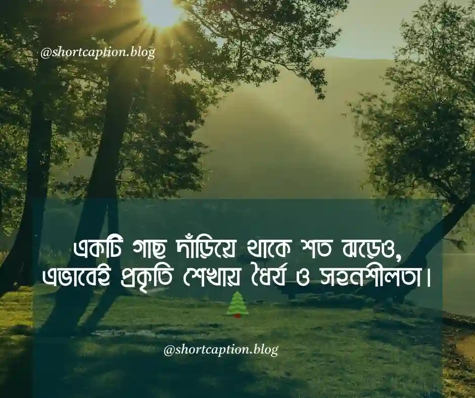 প্রকৃতি নিয়ে ক্যাপশন Nature Caption