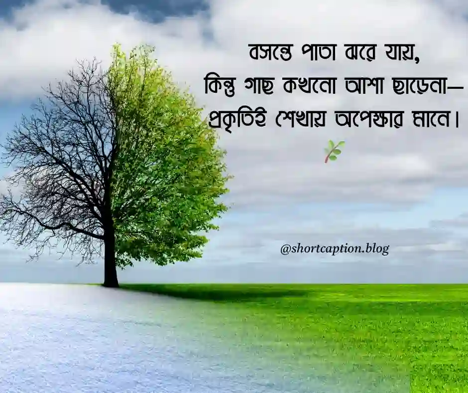 প্রকৃতি নিয়ে ক্যাপশন প্রকৃতির ক্যাপশন