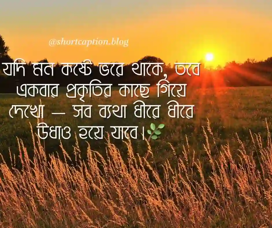 প্রকৃতি নিয়ে ক্যাপশন বাংলা