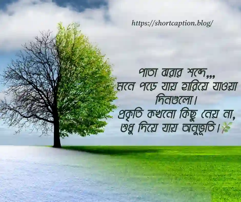 প্রকৃতি নিয়ে স্ট্যাটাস - প্রকৃতি নিয়ে ক্যাপশন