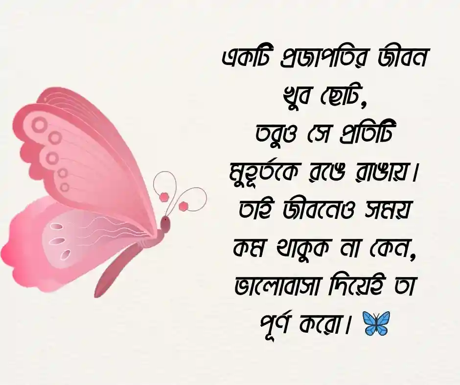 প্রজাপতি নিয়ে ক্যাপশন