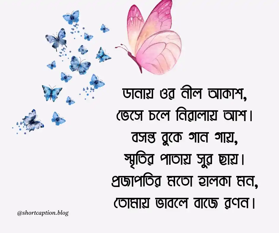 প্রজাপতি নিয়ে ছন্দ