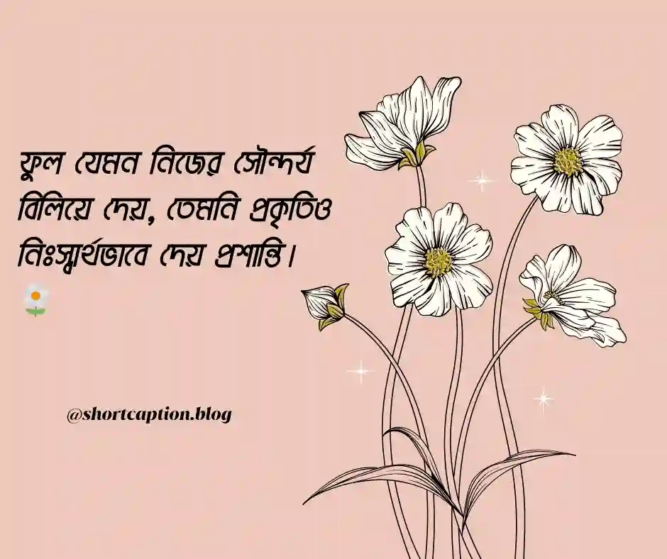 ফুল ও প্রকৃতি নিয়ে ক্যাপশন