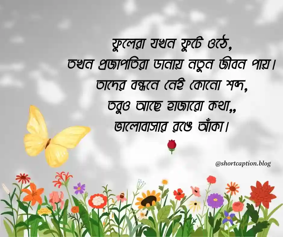 ফুল ও প্রজাপতি নিয়ে ক্যাপশন