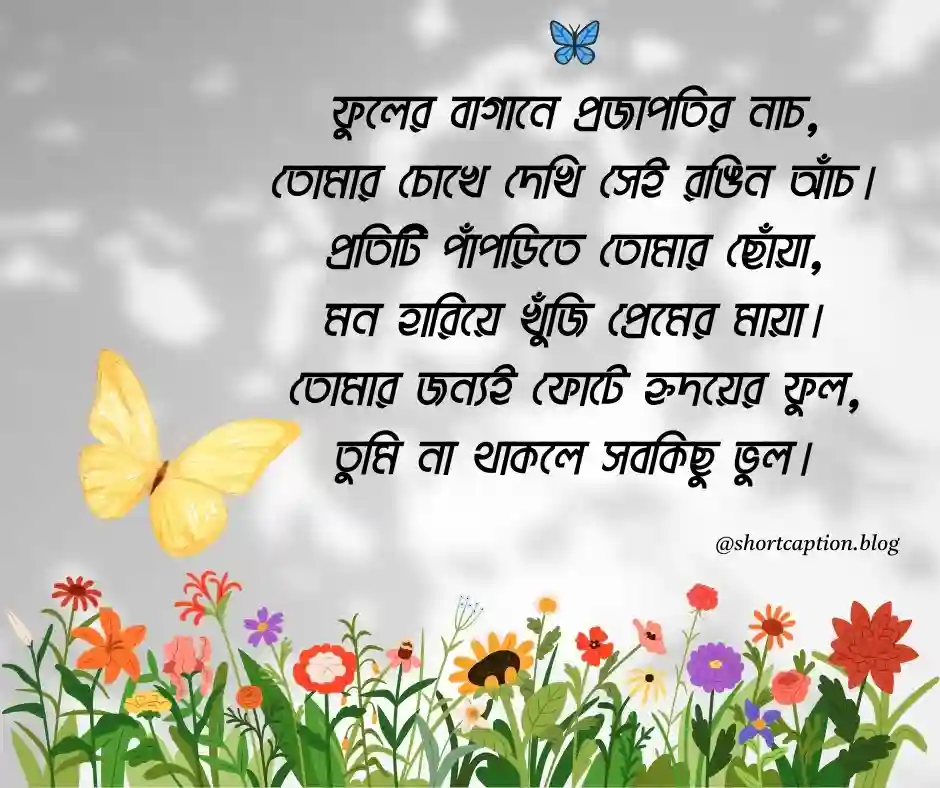 ফুল প্রজাপতি নিয়ে কবিতা