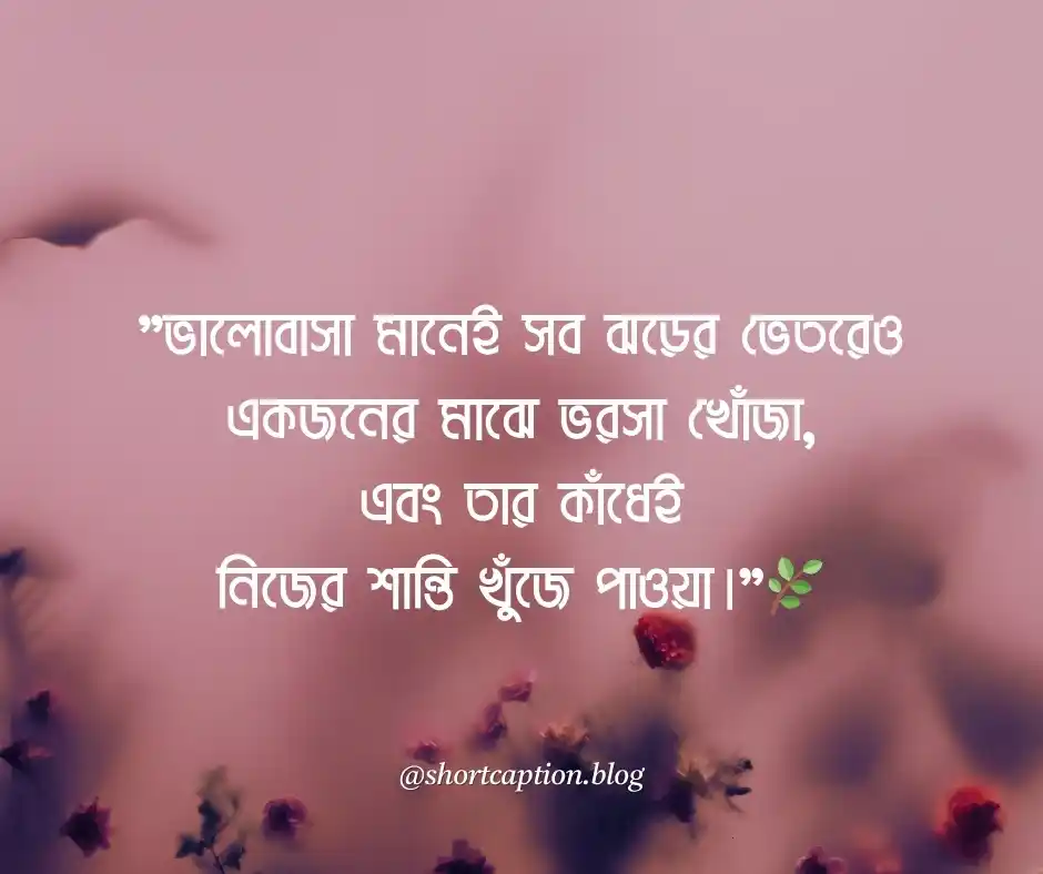 বাংলা ভালোবাসার ক্যাপশন