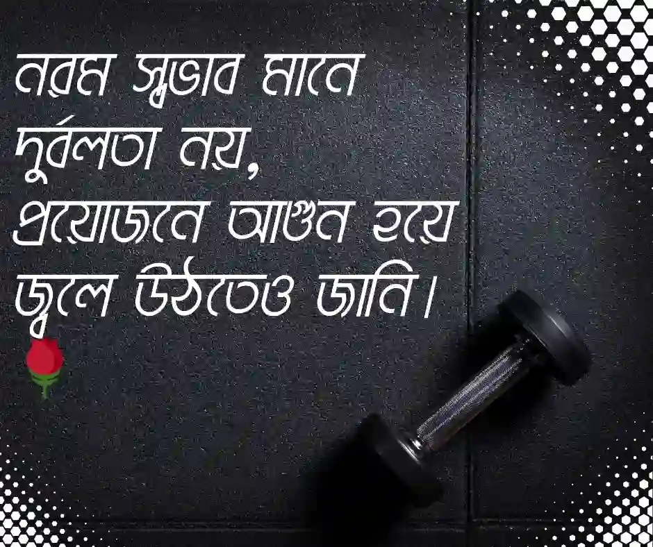 বাংলা শর্ট ক্যাপশন Attitude