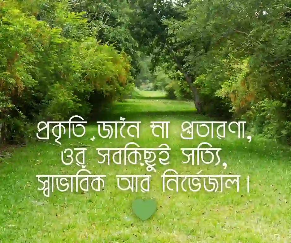 বাংলা শর্ট ক্যাপশন প্রকৃতি নিয়ে
