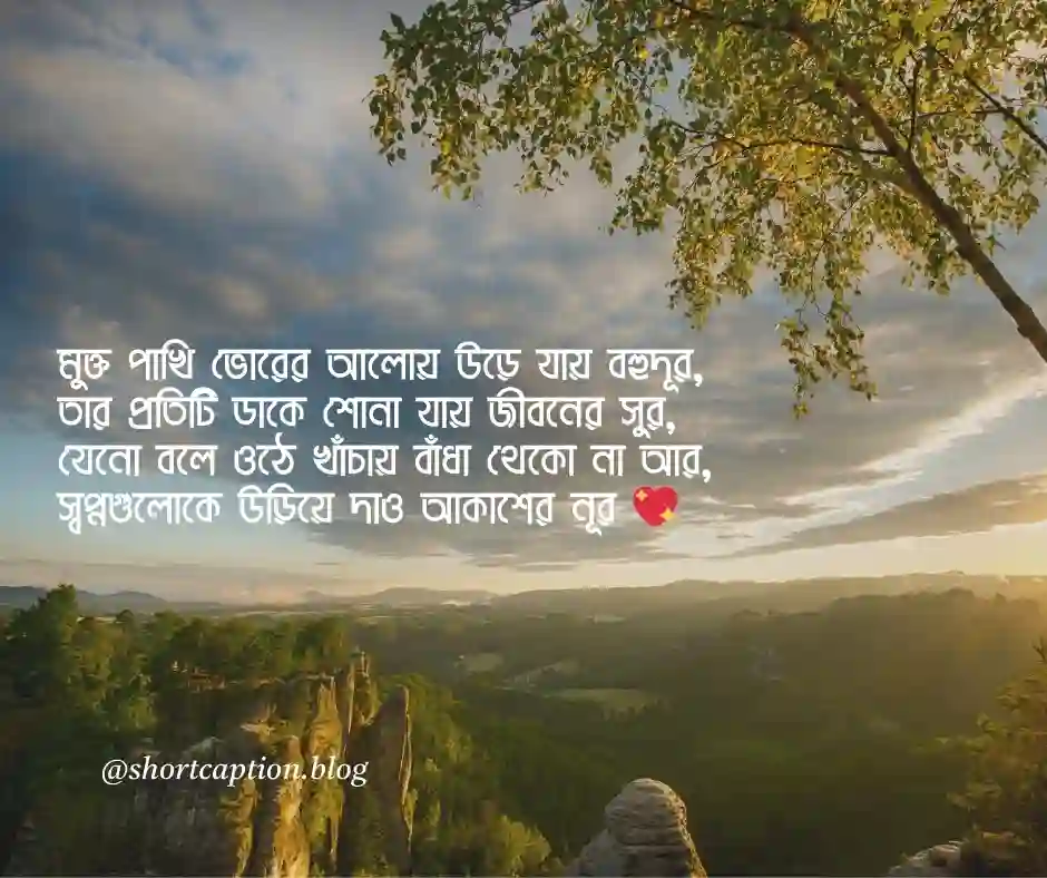 মুক্ত পাখি নিয়ে কবিতা