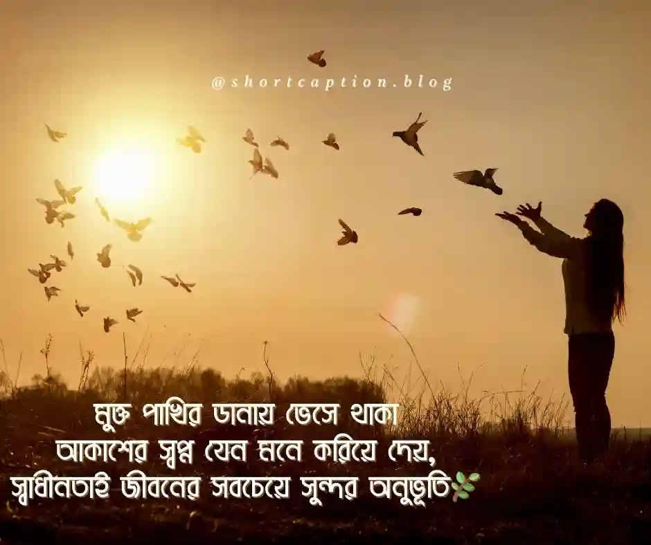 মুক্ত পাখি নিয়ে ক্যাপশন