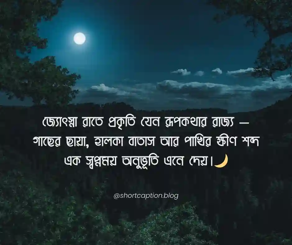 রাতের প্রকৃতি নিয়ে ক্যাপশন