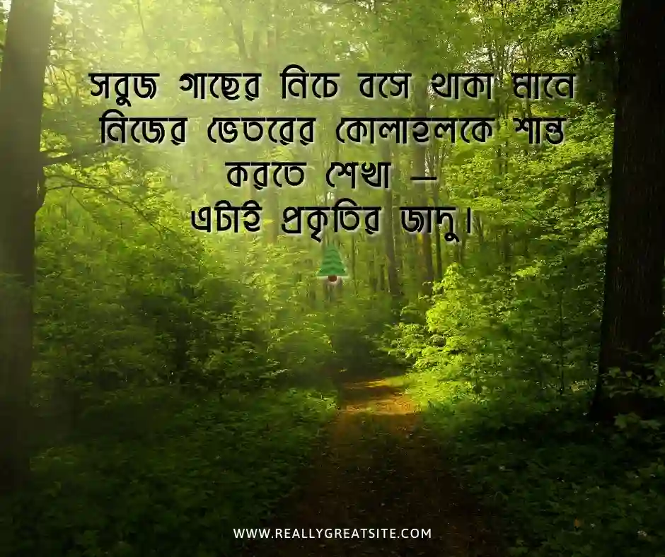 সবুজ প্রকৃতি নিয়ে ক্যাপশন