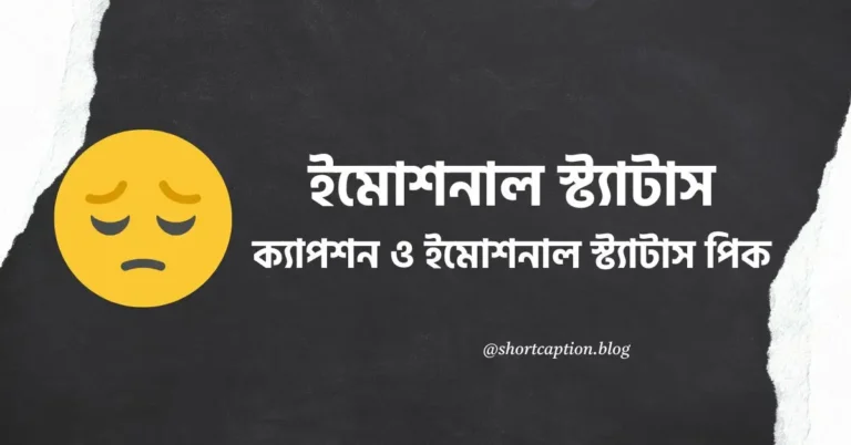 Sad ইমোশনাল স্ট্যাটাস, ক্যাপশন ও ইমোশনাল স্ট্যাটাস পিক
