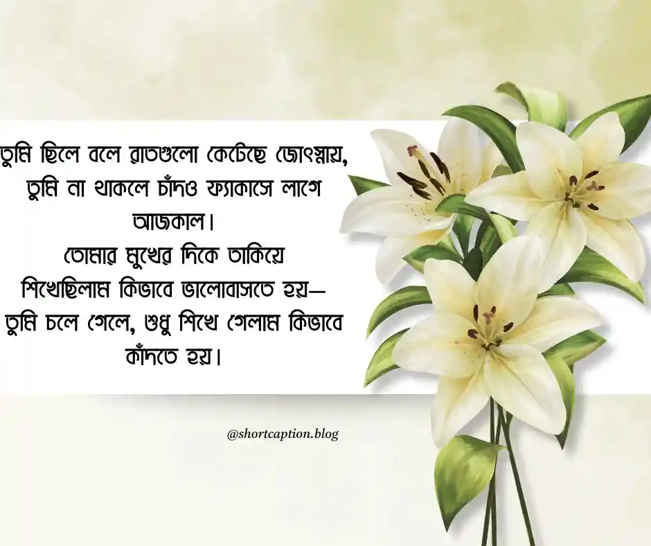 আবেগি প্রেমের কবিতা