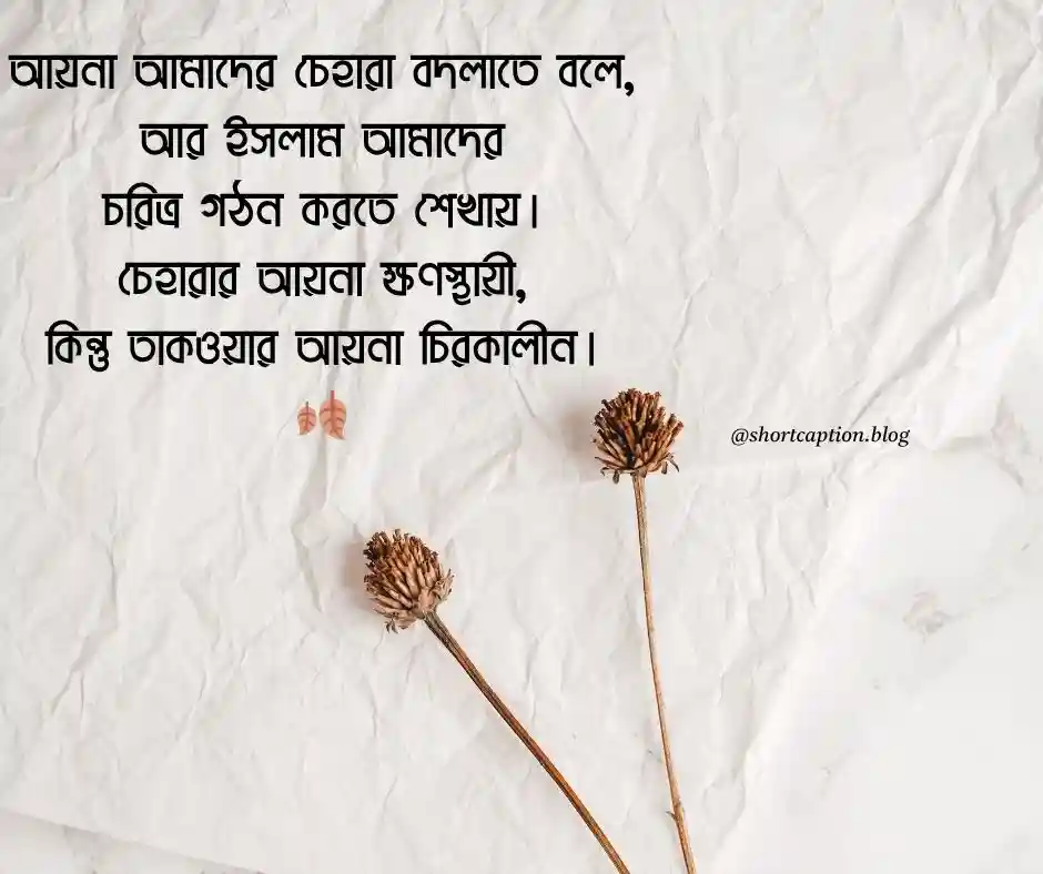 আয়না নিয়ে ইসলামিক স্ট্যাটাস