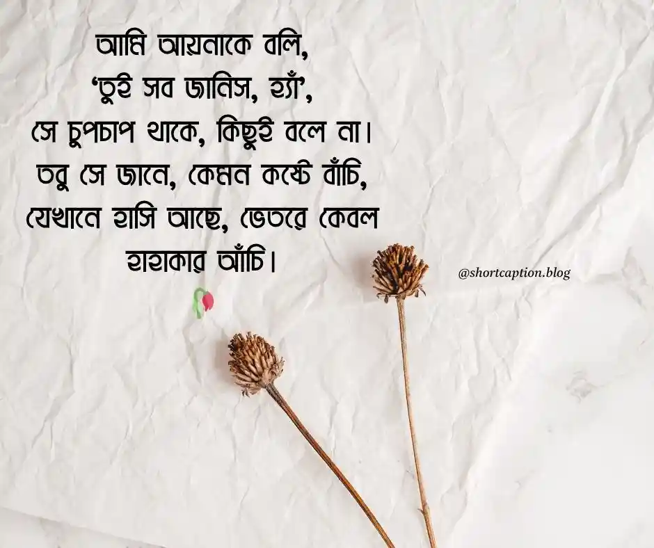 আয়না নিয়ে কবিতা