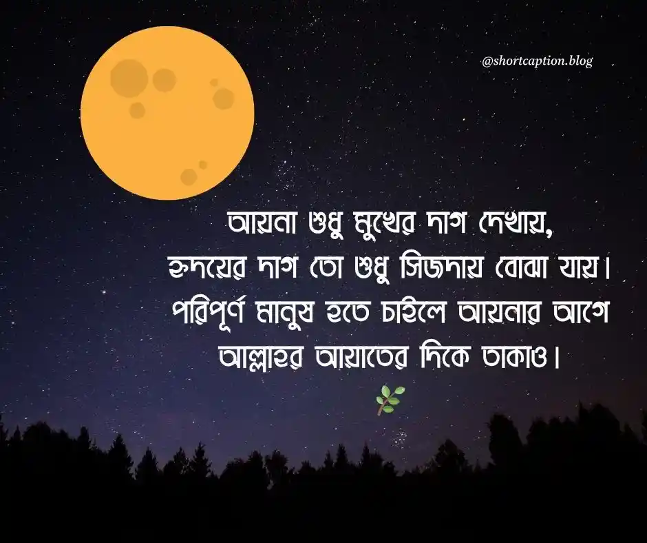 আয়না নিয়ে স্ট্যাটাস Mirror Caption