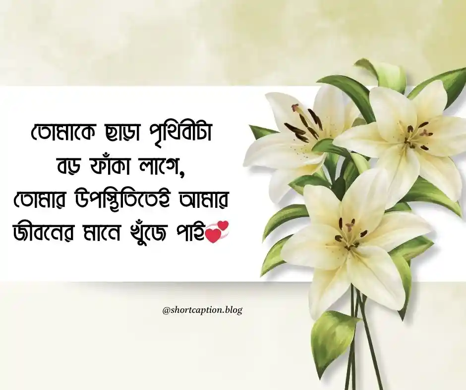 ইমোশনাল লাভ মেসেজ Emotional Love Message