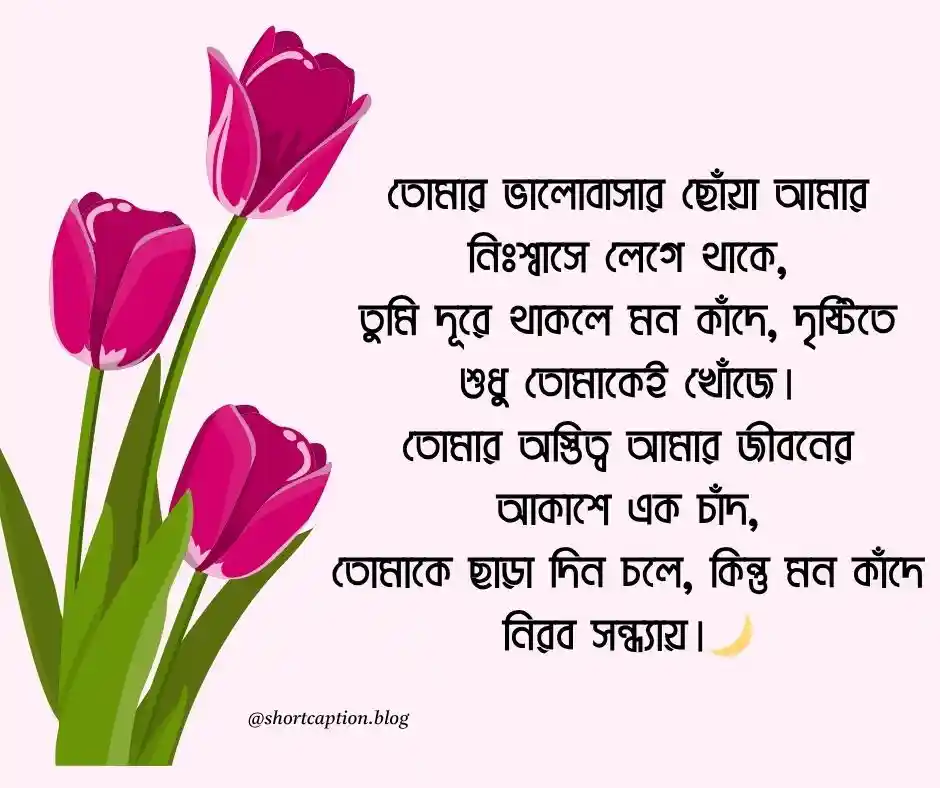 গভীর প্রেমের কবিতা তীব্র প্রেমের কবিতা