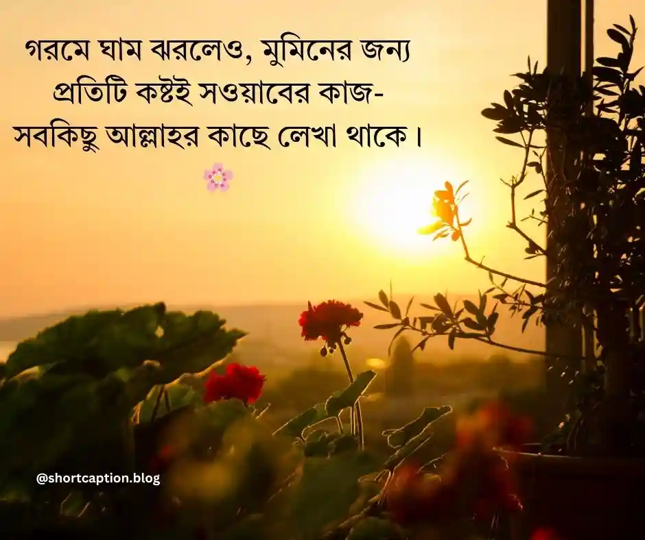 গরম নিয়ে ইসলামিক ক্যাপশন গরম নিয়ে ইসলামিক উক্তি