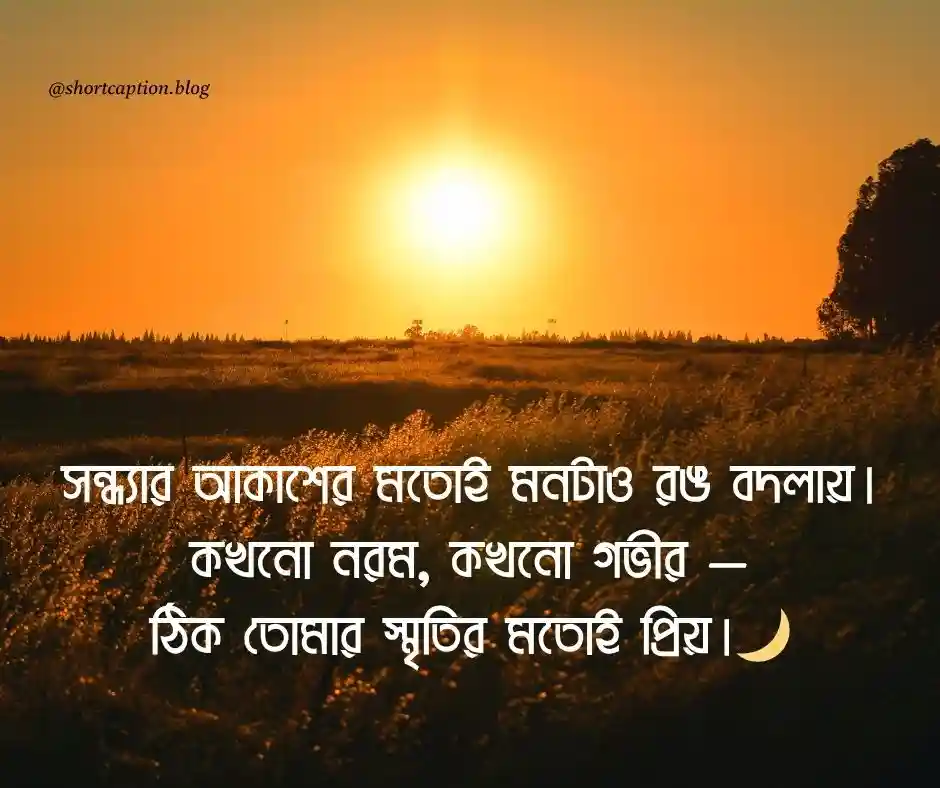 গোধূলি সন্ধ্যা নিয়ে ক্যাপশন Good Evening Caption Bangla