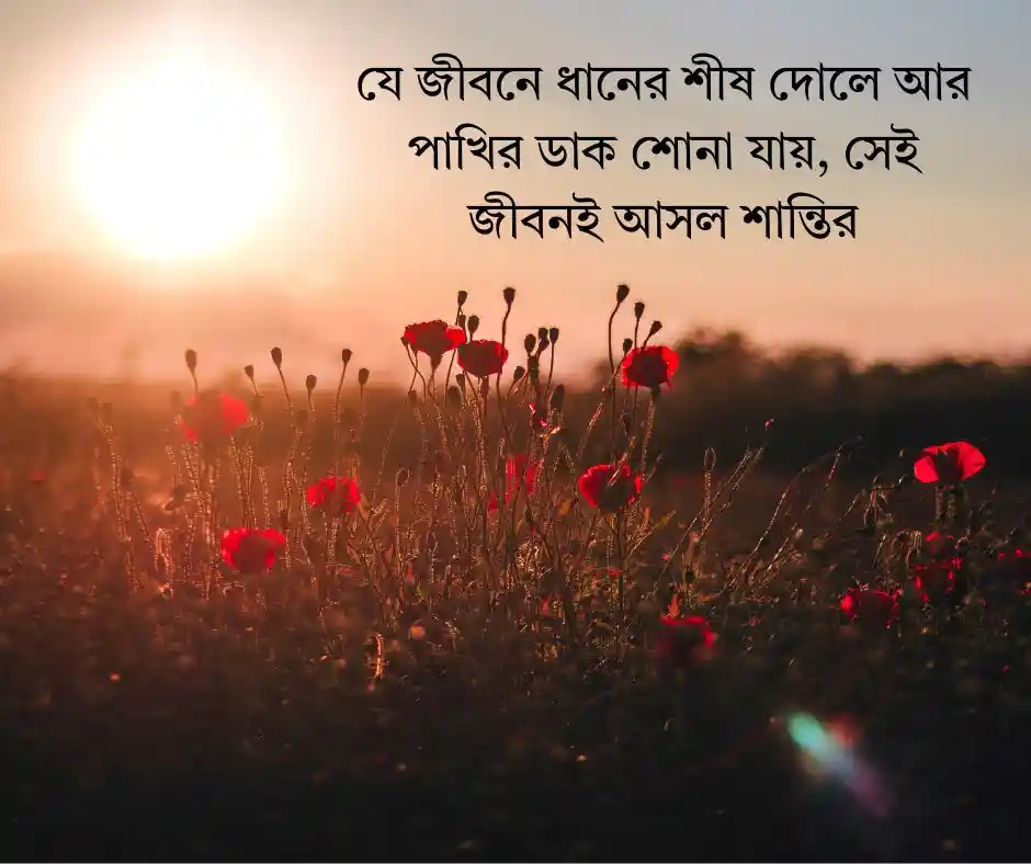 গ্রাম নিয়ে উক্তি