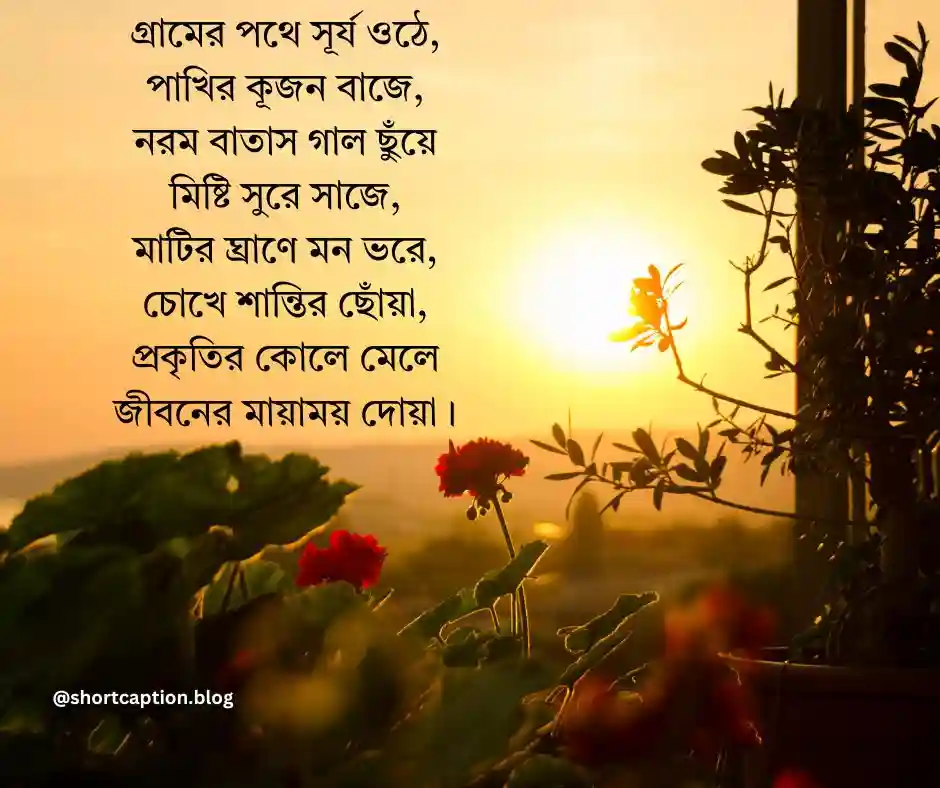 গ্রাম নিয়ে কবিতা