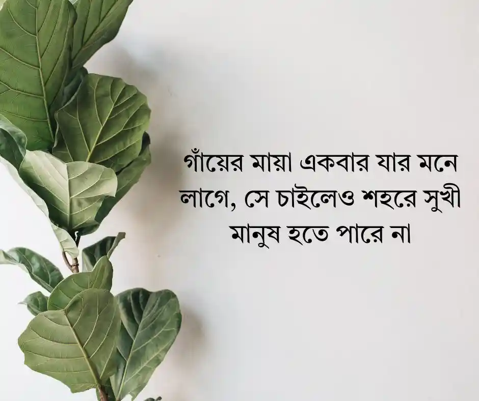 গ্রাম নিয়ে ক্যাপশন - গ্রাম নিয়ে স্ট্যাটাস