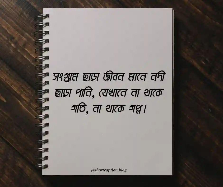 জীবন সংগ্রাম নিয়ে উক্তি ও ক্যাপশন