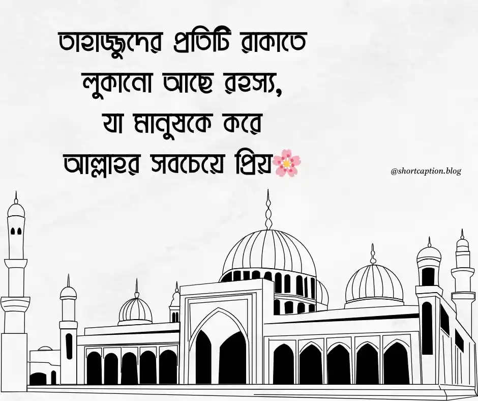 তাহাজ্জুদ নামাজ নিয়ে উক্তি