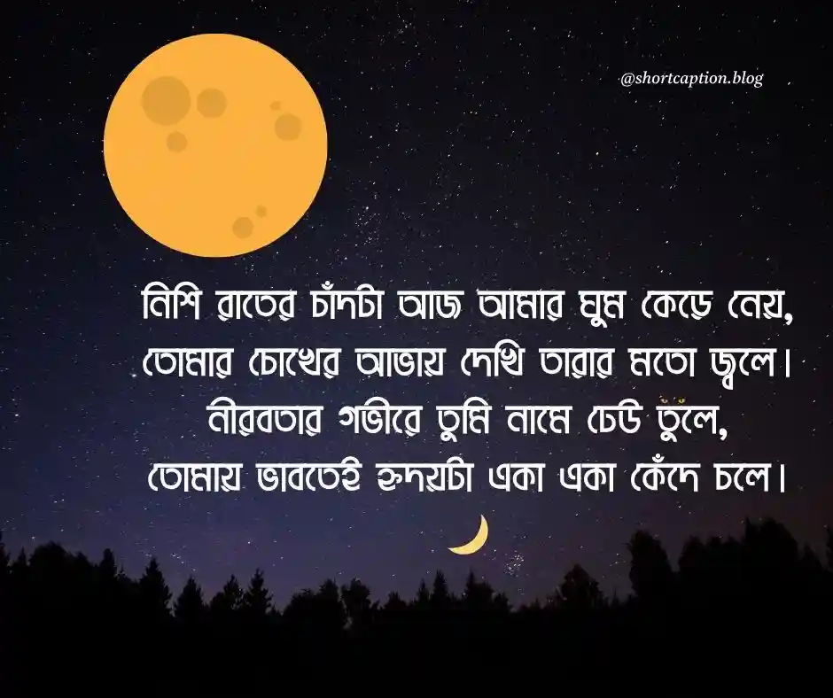 নিশি রাতের প্রেমের কবিতা
